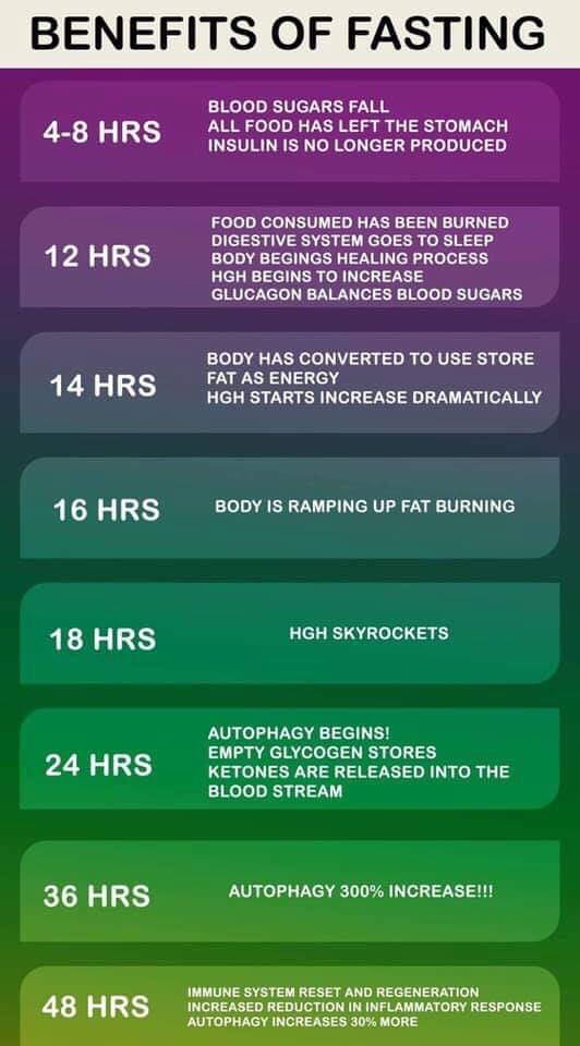 Does Intermittent Fasting Really Work?